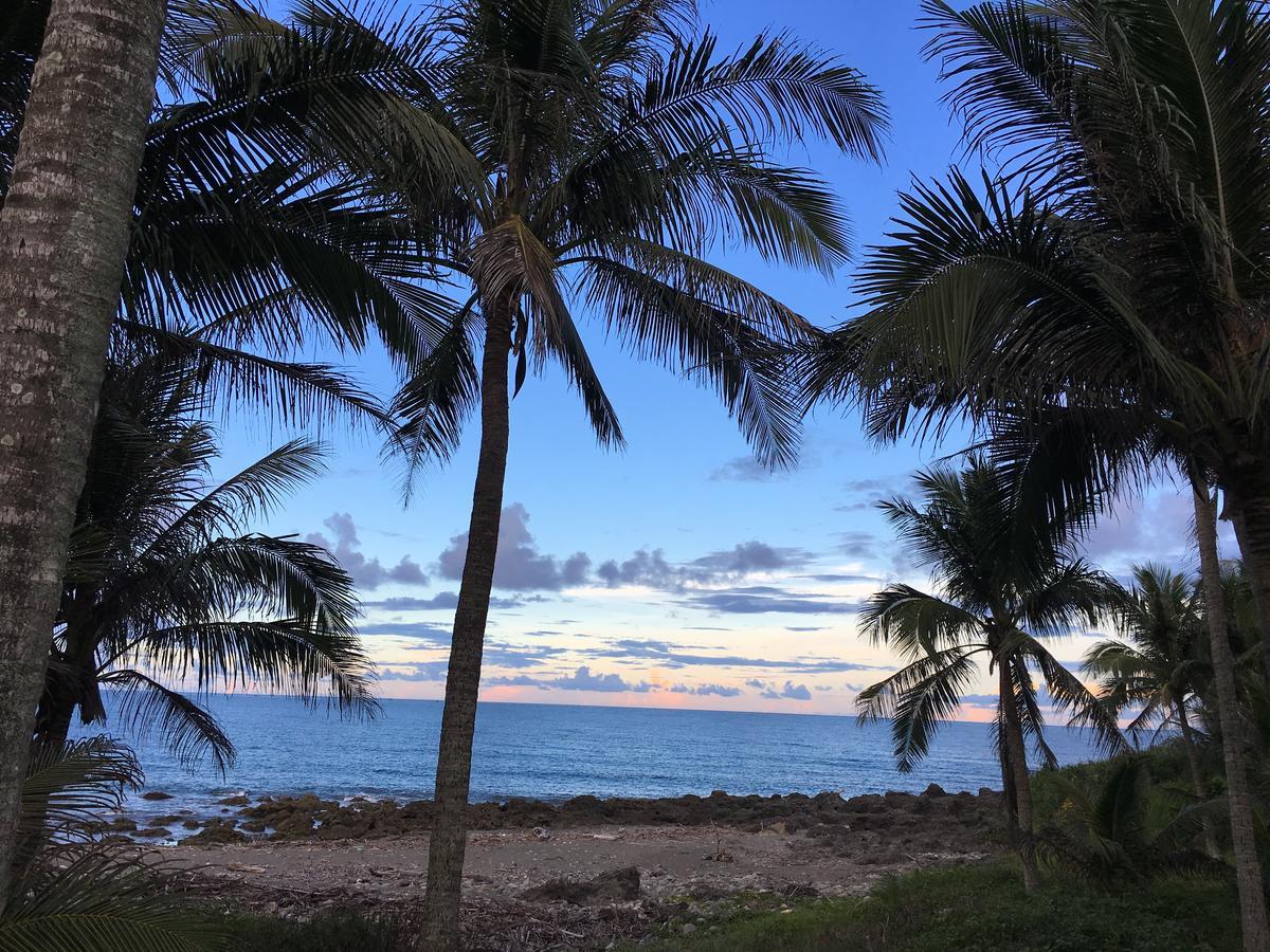 Coconut Beach Homestay Beinan エクステリア 写真