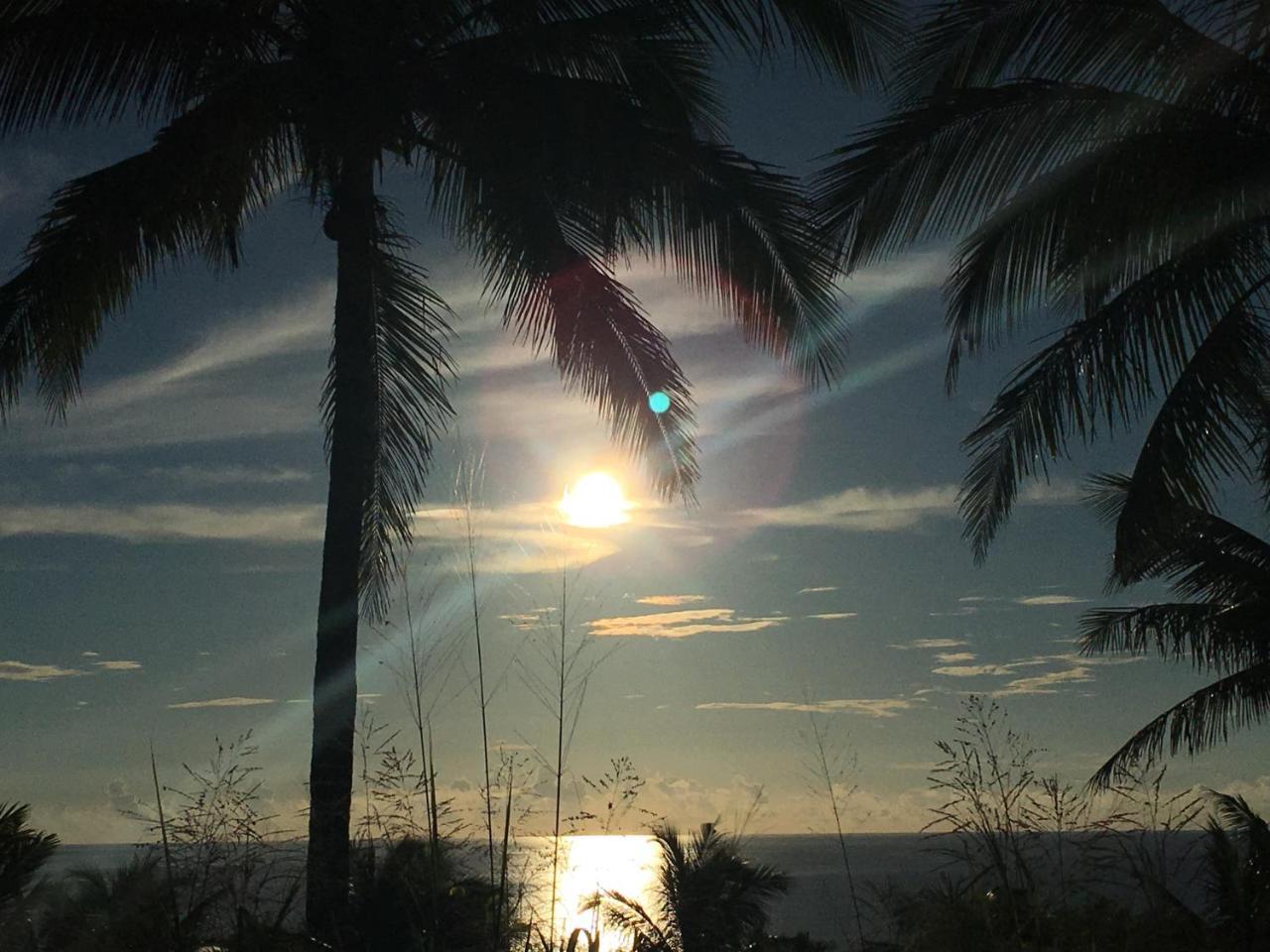 Coconut Beach Homestay Beinan エクステリア 写真